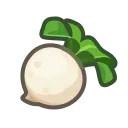 100 Turnips