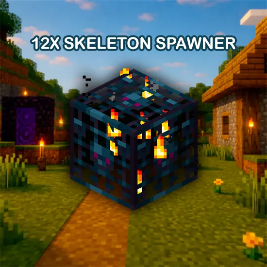 12x Skeleton Spawner