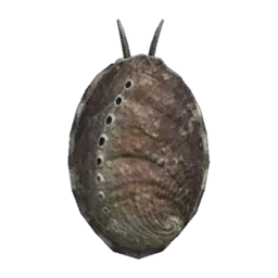 Abalone