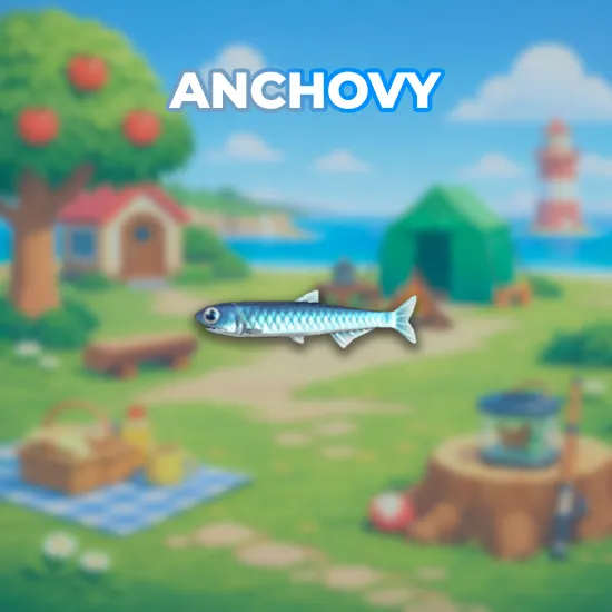 Anchovy