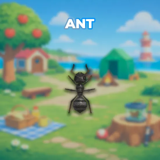 Ant