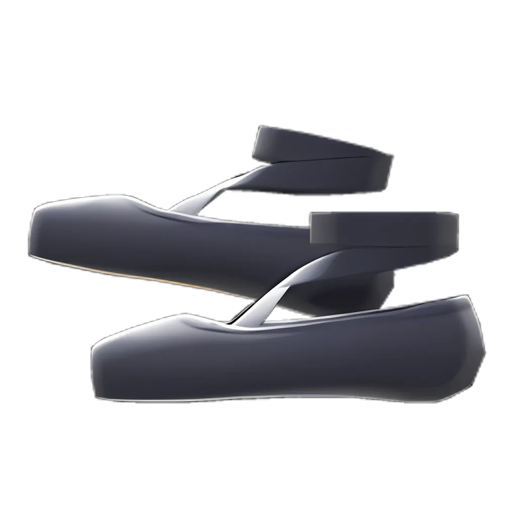 Ballet Slippers