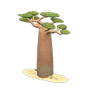 Baobab