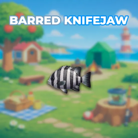 Barred Knifejaw