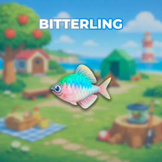 Bitterling