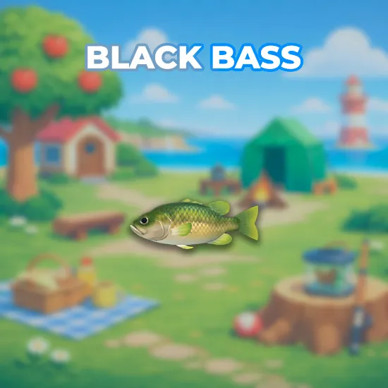 Black Bass