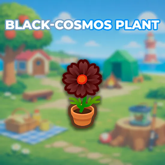 Black-Cosmos Plant