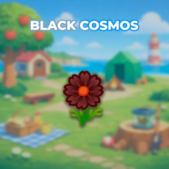 Black Cosmos