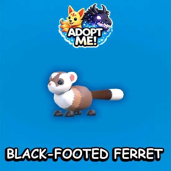 Black-Footed Ferret