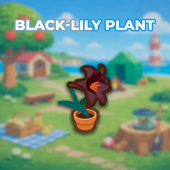 Black-Lily Plant