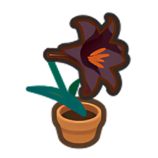 Black-Lily Plant