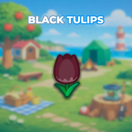 Black Tulips
