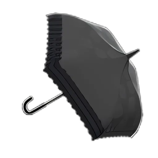 Black Chic Umbrella
