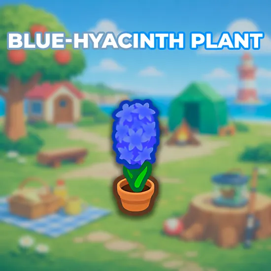 Blue-Hyacinth Plant