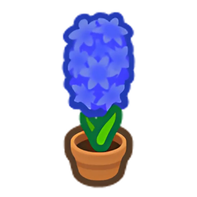 Blue-Hyacinth Plant
