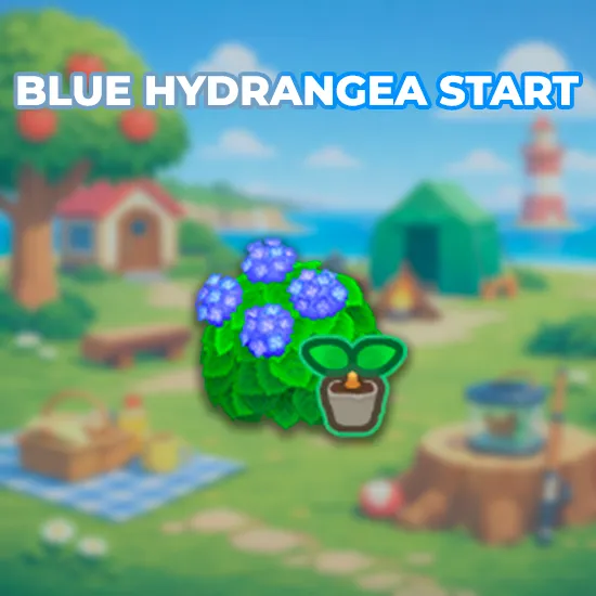 Blue Hydrangea Start