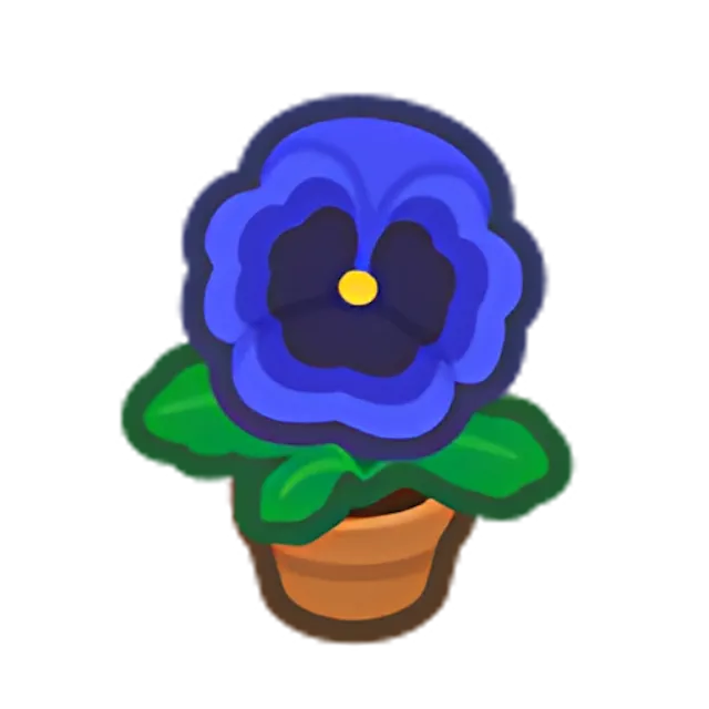 Blue-Pansy Plant