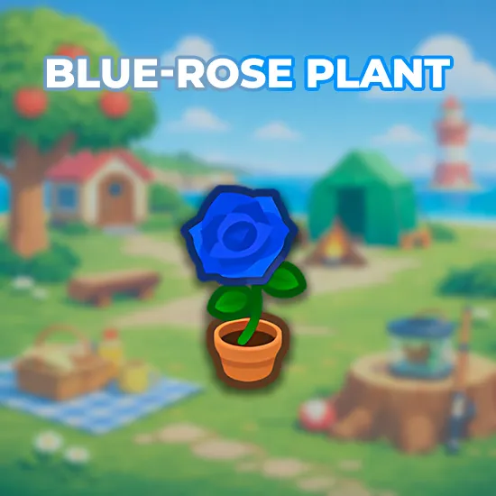 Blue-Rose Plant