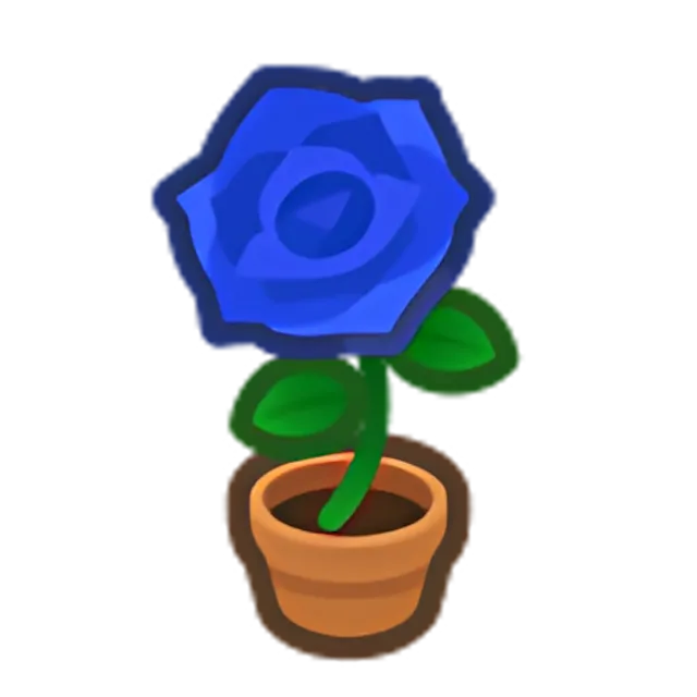 Blue-Rose Plant