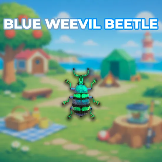 Blue Weevil Beetle