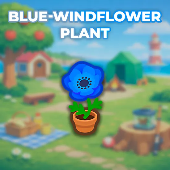 Blue-Windflower Plant