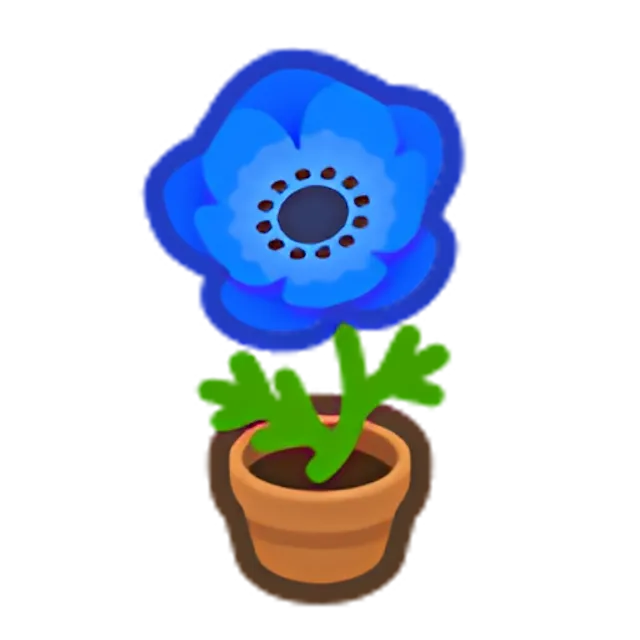 Blue-Windflower Plant
