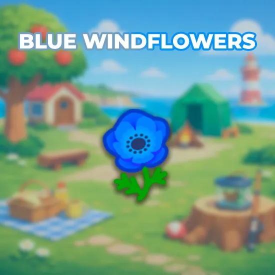 Blue Windflowers