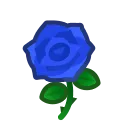 Blue Roses