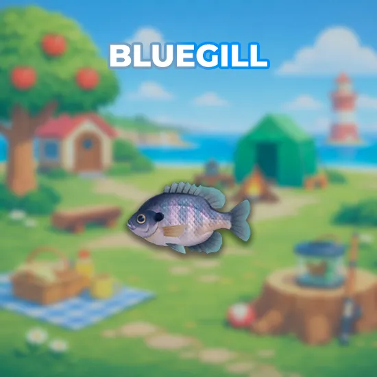 Bluegill