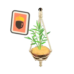 Coconut Wall Planter DIY