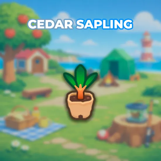 Cedar Sapling