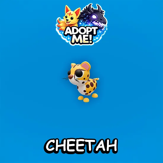 Cheetah