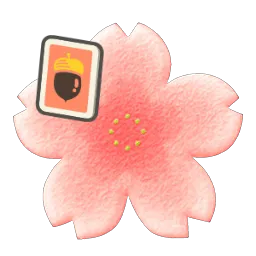 Cherry-Blossom Rug DIY