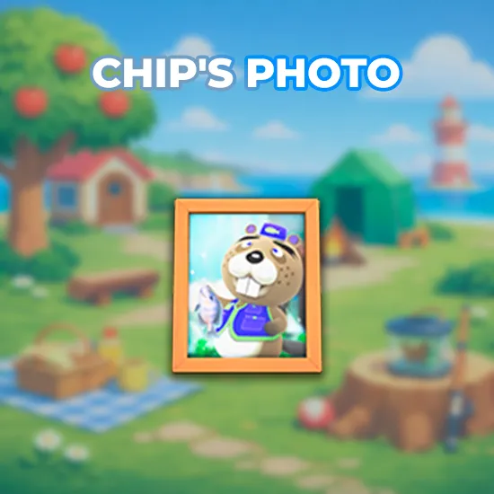 Chip's Photo