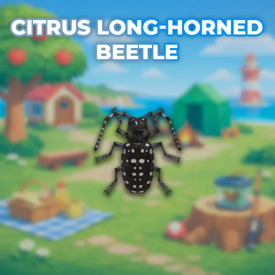Citrus Long-Horned Beetle