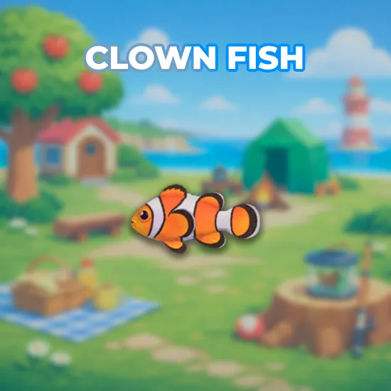 Clown Fish
