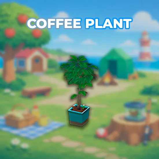 Coffee Plant