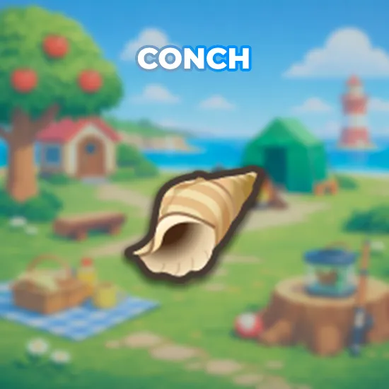 Conch