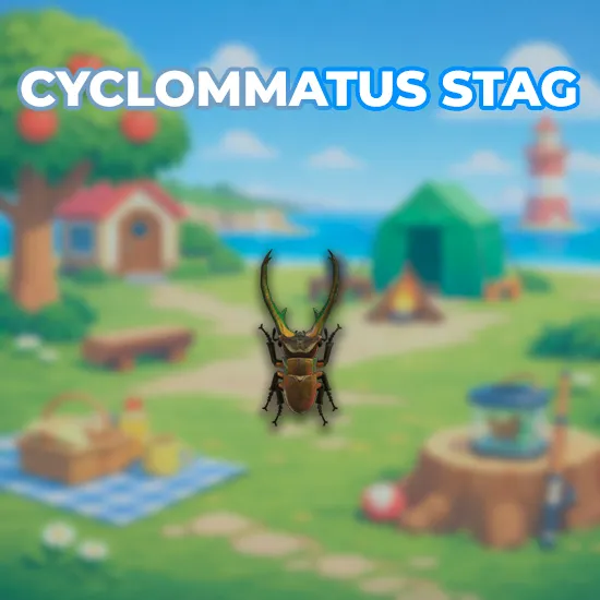 Cyclommatus Stag