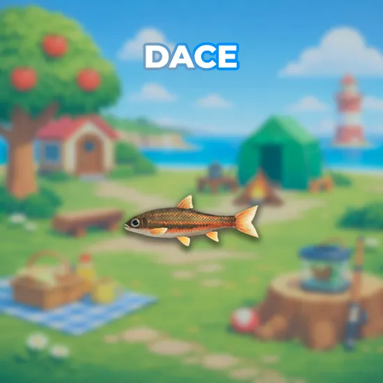 Dace