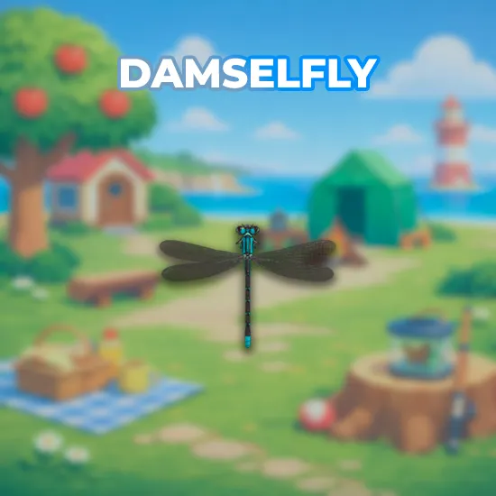 Damselfly