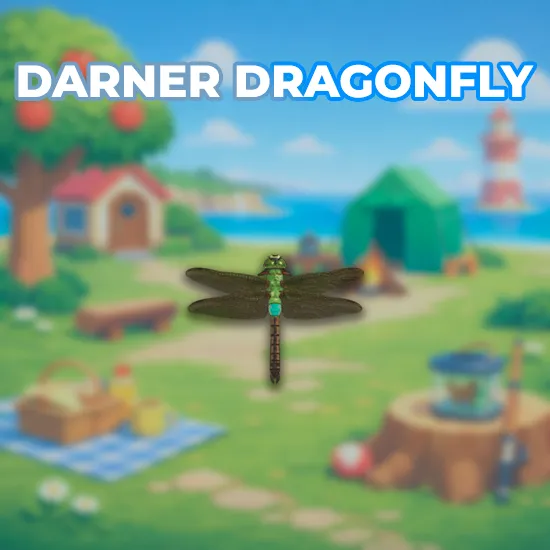Darner Dragonfly
