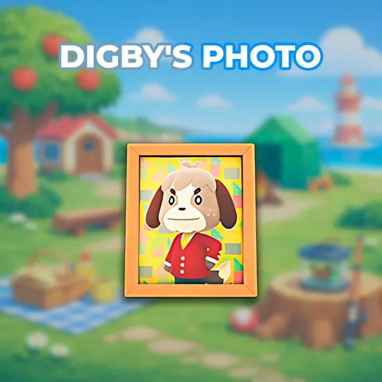 Digby's Photo