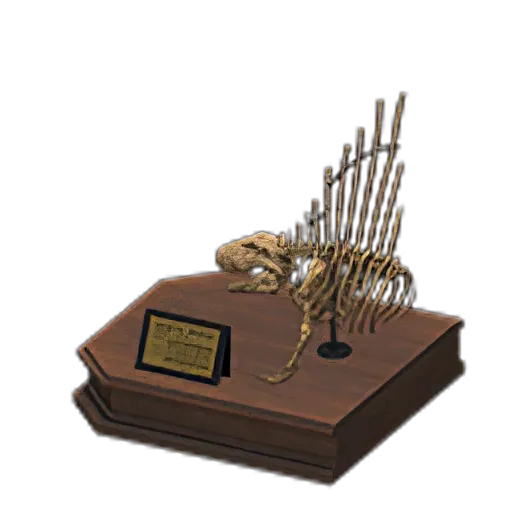 Dimetrodon Skull