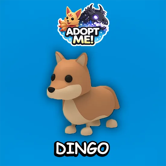Dingo