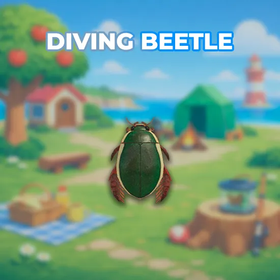 Diving Beetle