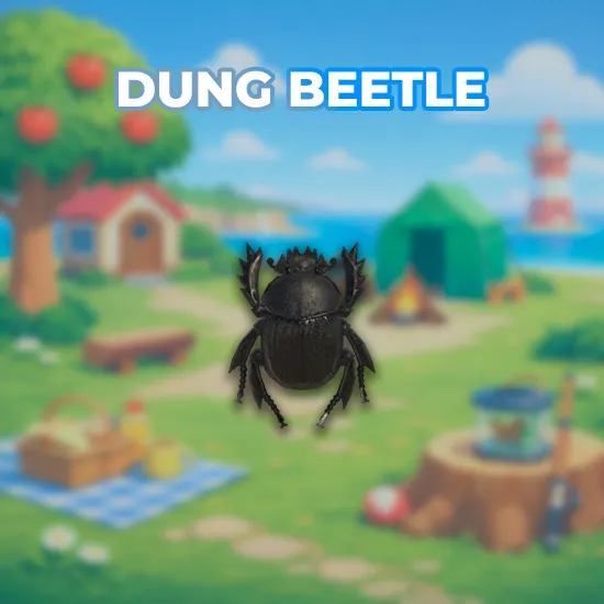 Dung Beetle