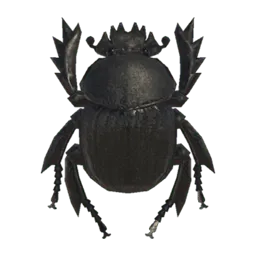 Dung Beetle