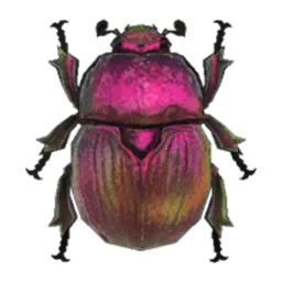 Earth-Boring Dung Beetle