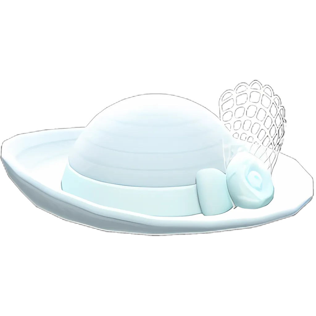Elegant Hat